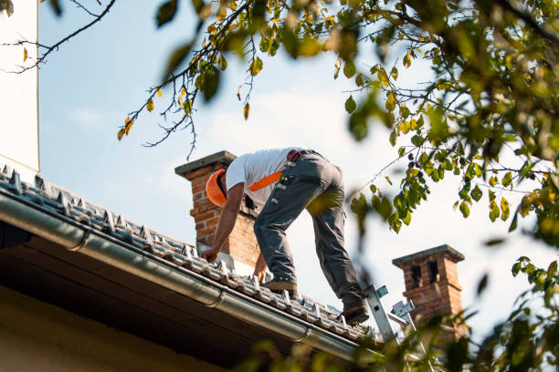 Best Gutter Installation and Roofing  in Happy Valley, CA